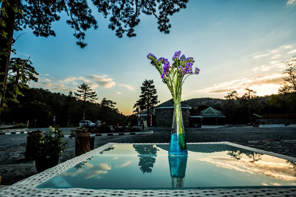Troodos Hotel & Spa Exterior photo